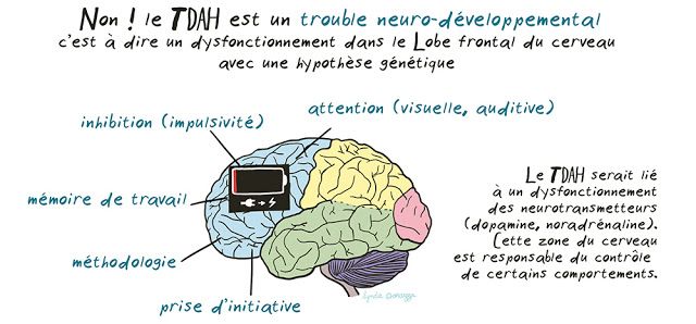 TDAH trouble neuro-developpemental